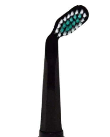 2-Pack Brush Heads Perio Black