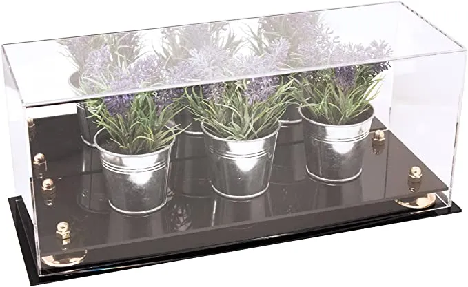 Acrylic Versatile Display Case  17 X 6 X 7 Mirror No Wall Mounts (V46/A019)