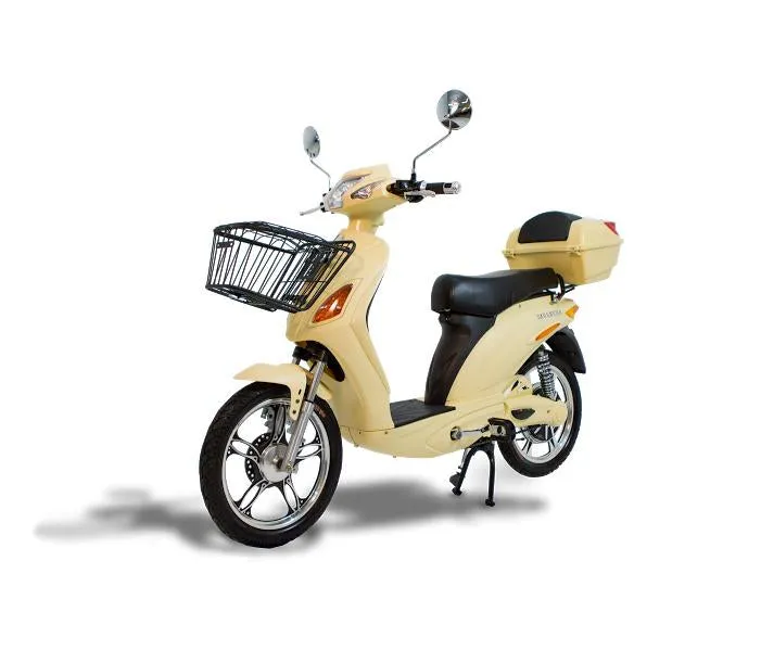 American Electric SuperFly 600W Electric Bike
