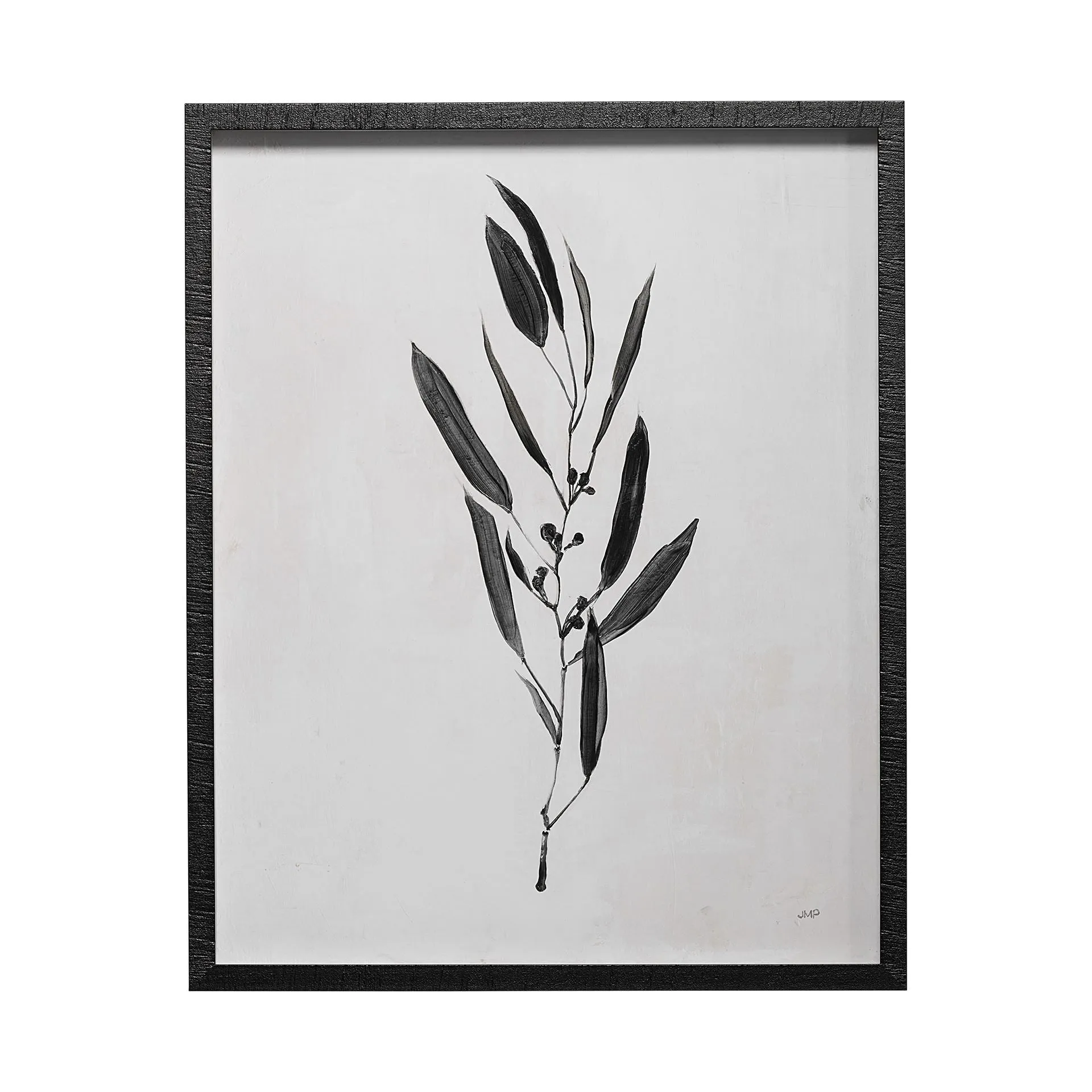 Botanical Study Wall Art I