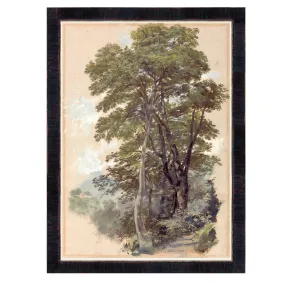 Corpo Di Cava, 1839