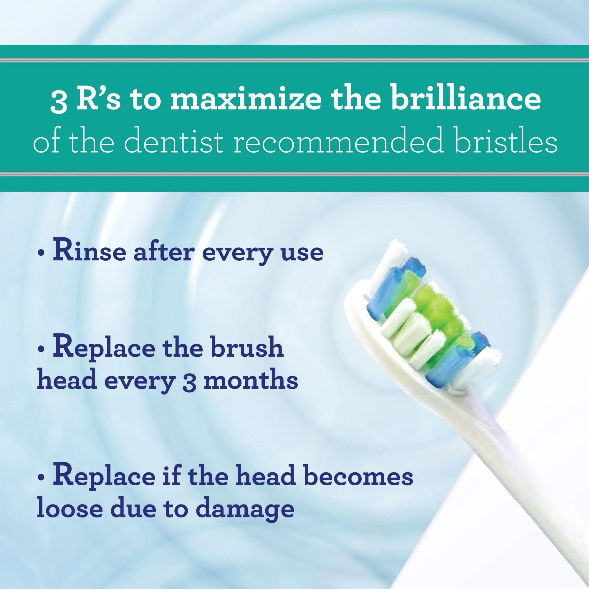 CRUISER SONIC ELECTRIC TOOTHBRUSH REPLACEMENT BRUSH HEADS - 6-PACK