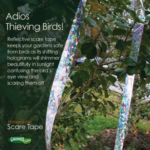 Dalen Holographic Scare Tape™ - Full Spectrum Ribbons for Frightening Birds (3/4" X 100 ft)