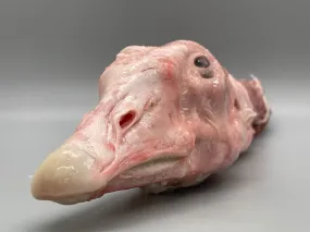 Duck Heads