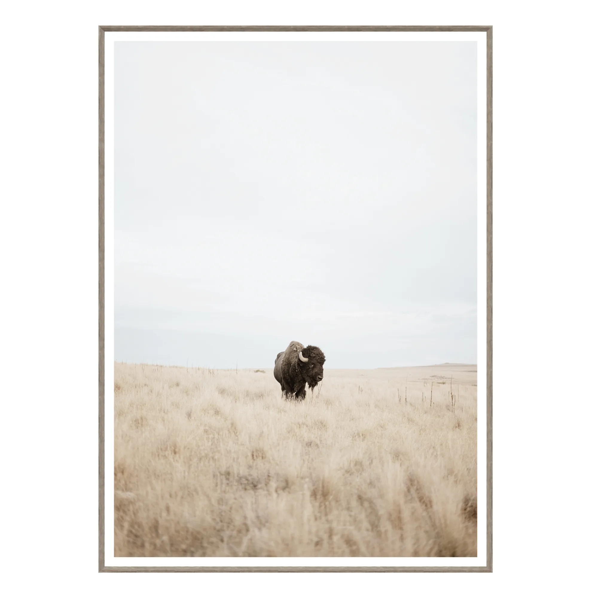 Great Plains Denizen