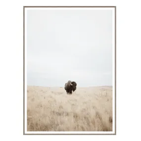 Great Plains Denizen