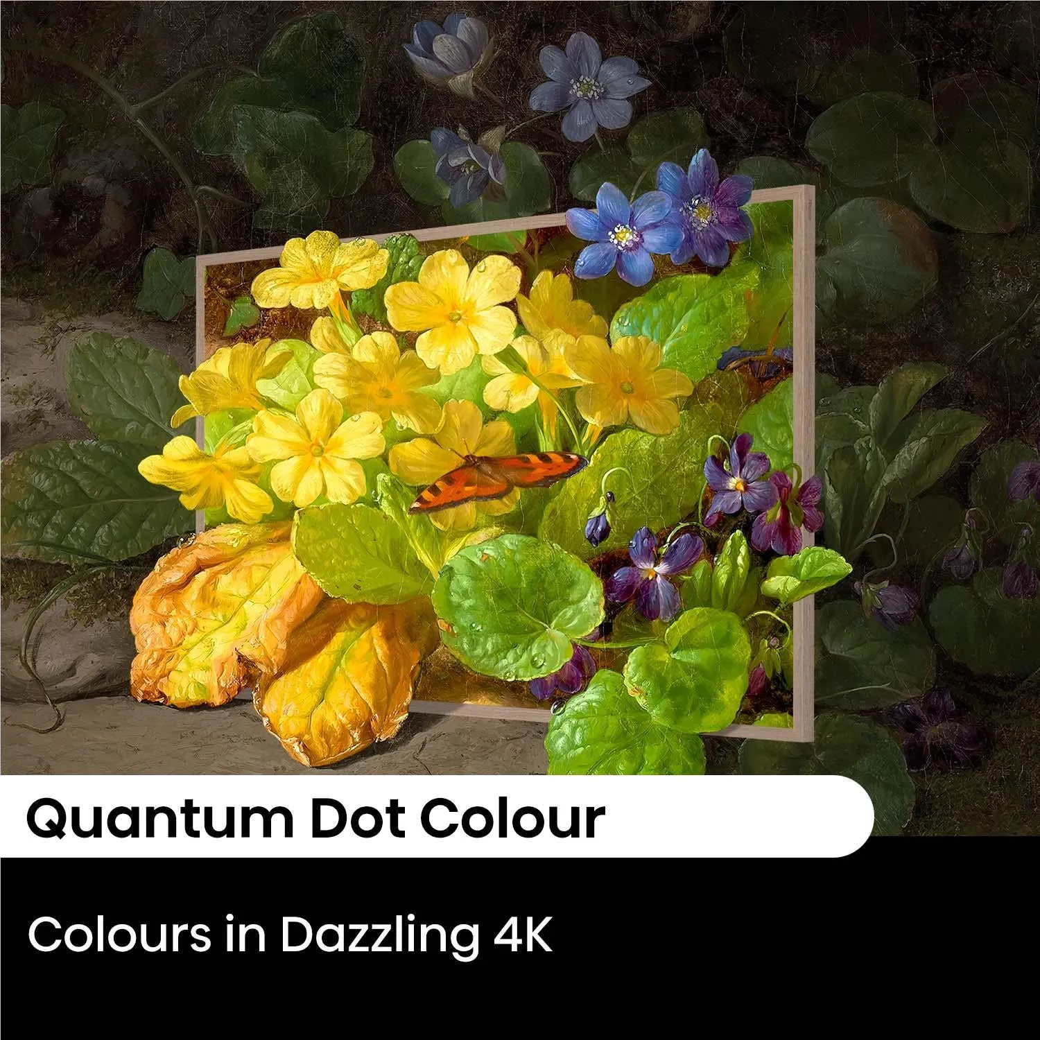 Hisense 65" S7NAU Canvas 4K QLED Smart TV [2024]