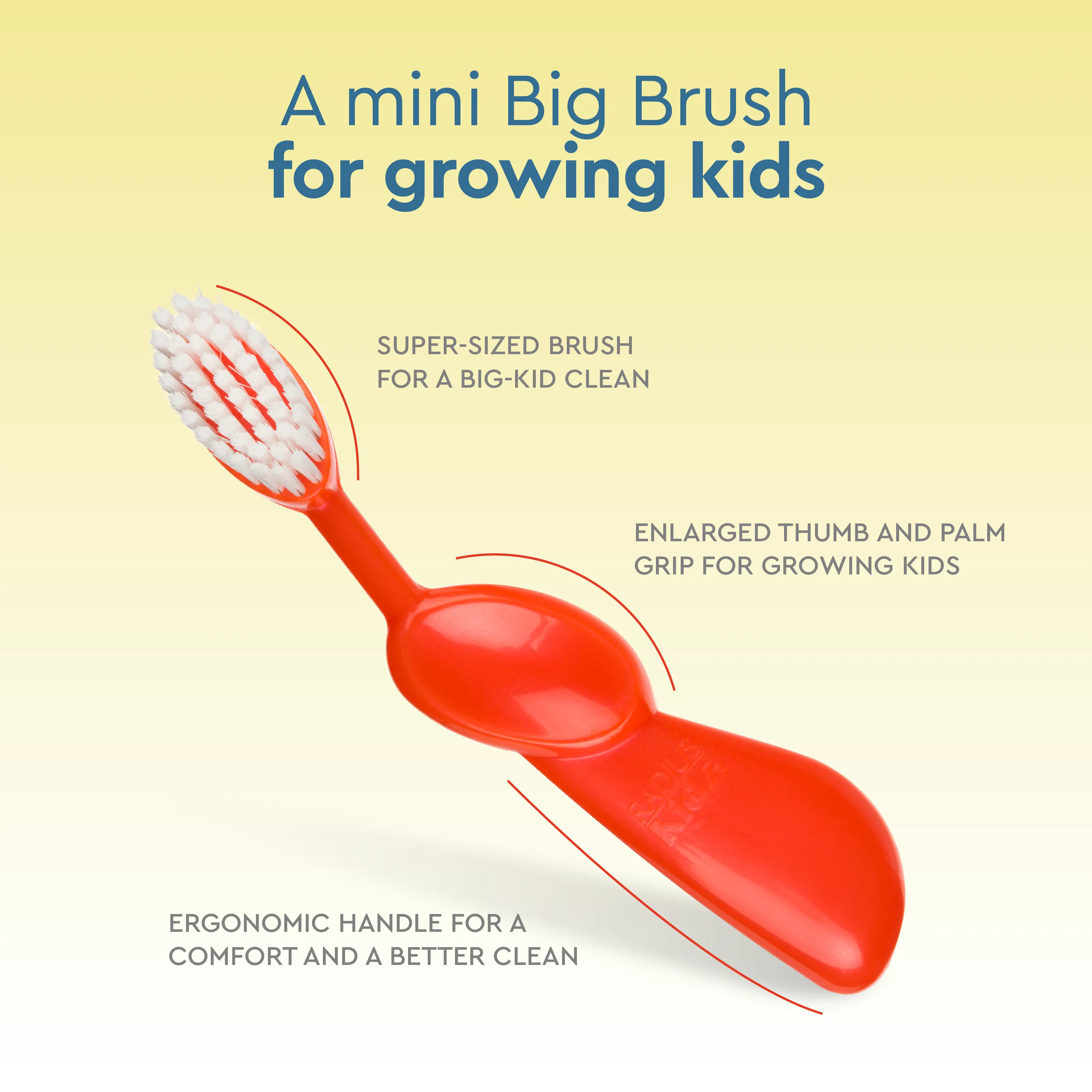 Kidz® Brush (6 yrs )