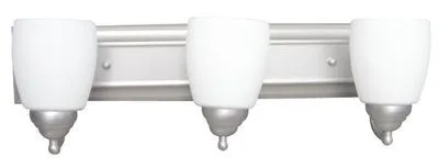 Monument Vanity Fixture Brushed Nickel 24 X 6-3/4 X 6-1/2 Inch  Uses (3) 100-Watt Incandescent Medium Base Lamps