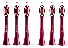Replacement Toothbrush Brush Heads for Wagner & Stern and Wagner Switzerland toothbrushes.Whiten  Edition, WT8800 Series and Duette series only. (Burgundy)