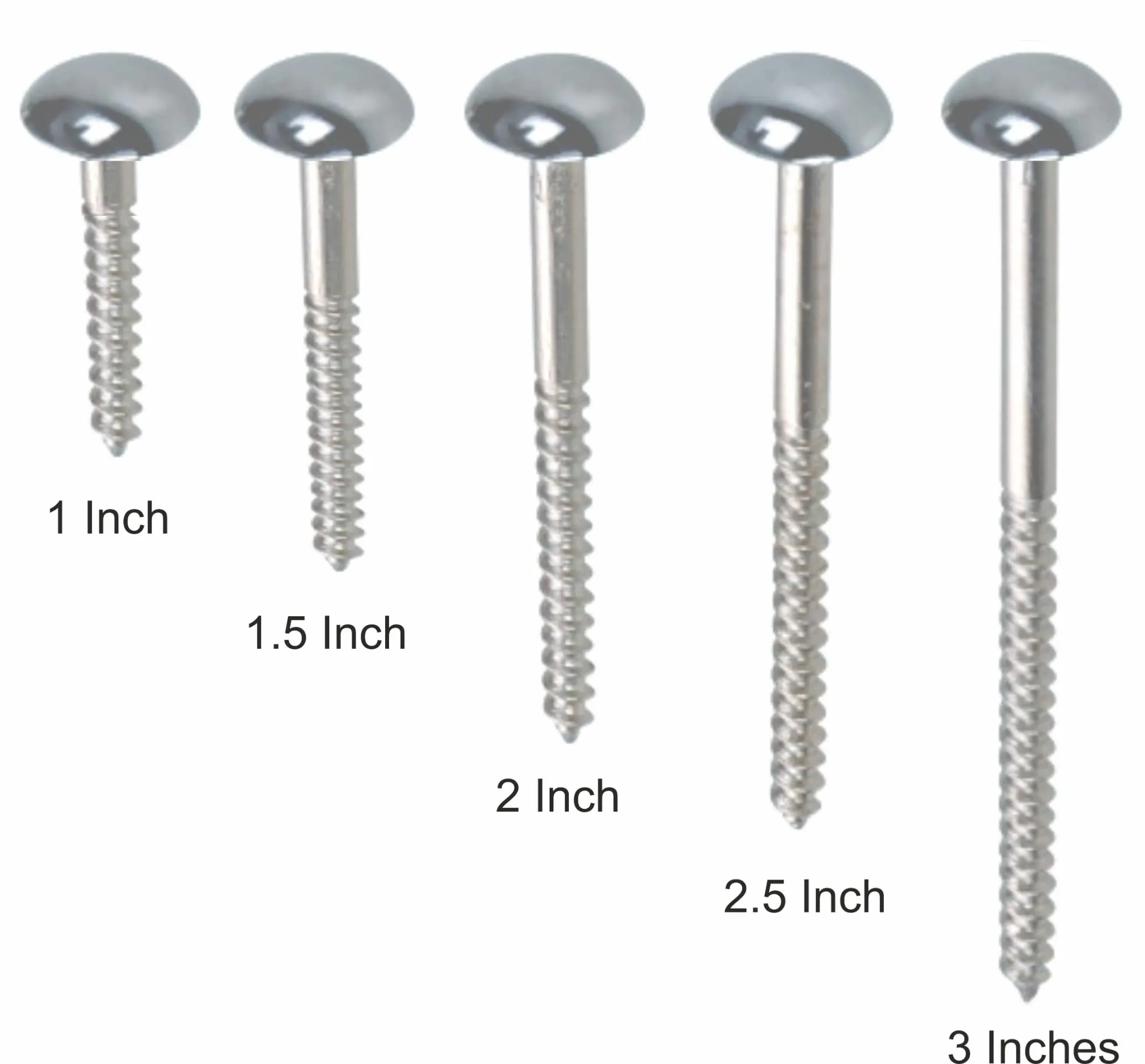 Smart Shophar Steel and Brass Mirror Screw 1.5 Inches Nickle Silver, Pack of 20 pcs/Solid and Stylish/Long Lasting/Excellent for Mirrors, Frames, Artworks, and More