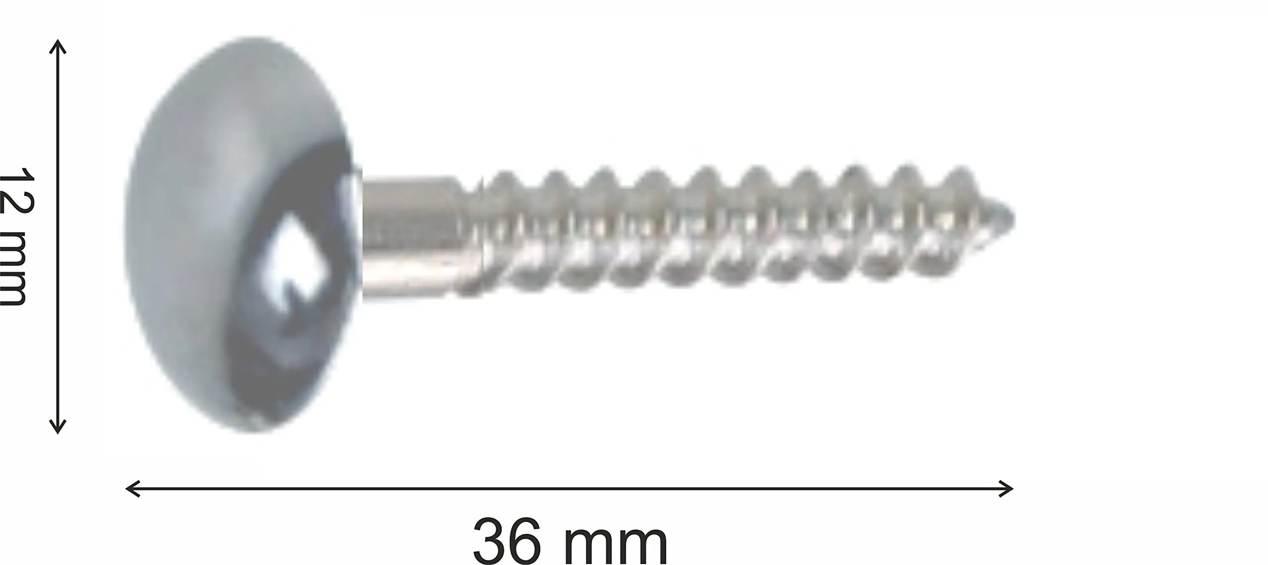 Smart Shophar Steel and Brass Mirror Screw 1.5 Inches Nickle Silver, Pack of 20 pcs/Solid and Stylish/Long Lasting/Excellent for Mirrors, Frames, Artworks, and More