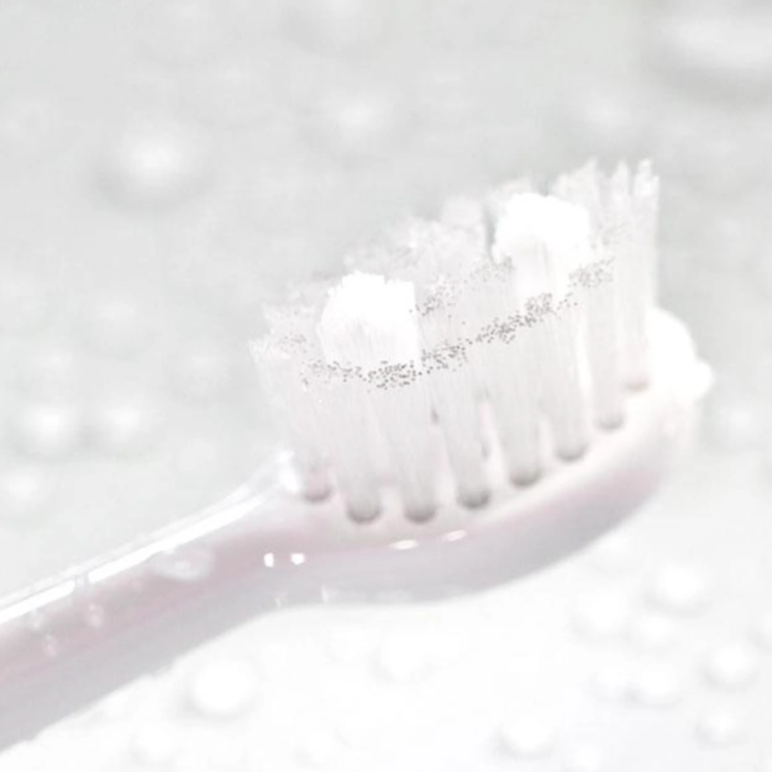 Sonic Toothbrush Replacement Heads - White