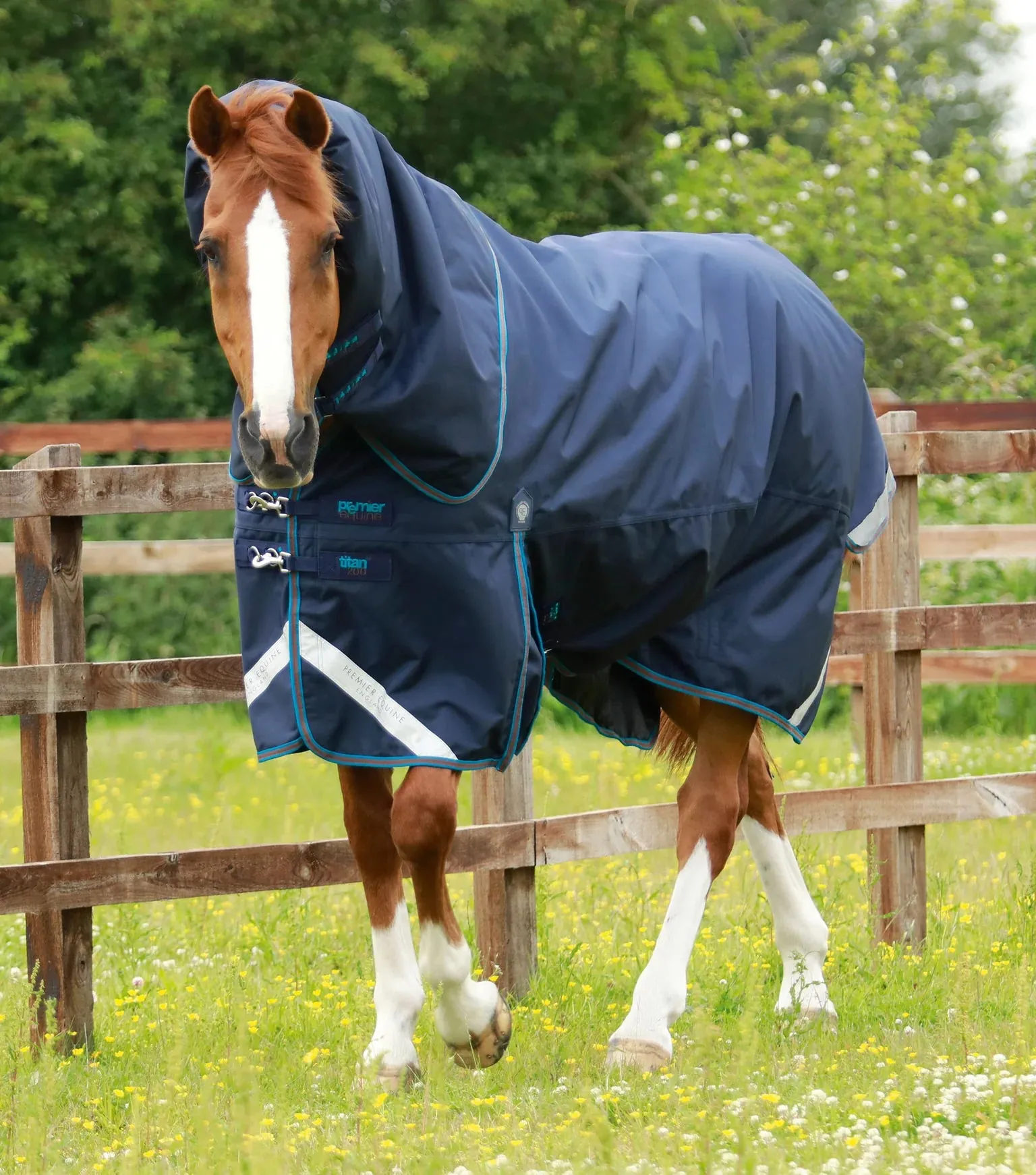 Titan Storm 200g Turnout Rug with Snug-Fit Neck Cover