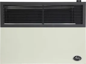 US Stove Ashley DVAG17N Natural Gas Wall Heater Direct Vent 570 sq. ft. 17,000 BTU Furnace New